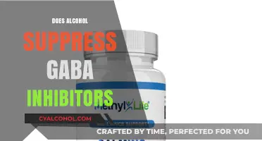 Unveiling the Complex Relationship Between Alcohol and GABA Inhibitors