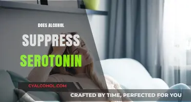 Alcohol and Serotonin: Unraveling the Impact on Mood and Well-being