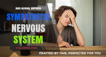 Alcohol's Impact: Suppressing the Sympathetic Nervous System Explained