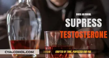 Alcohol and Testosterone: Uncovering the Truth Behind Hormonal Suppression