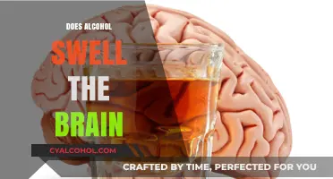 Exploring the Effects: Does Alcohol Consumption Impact Brain Size?
