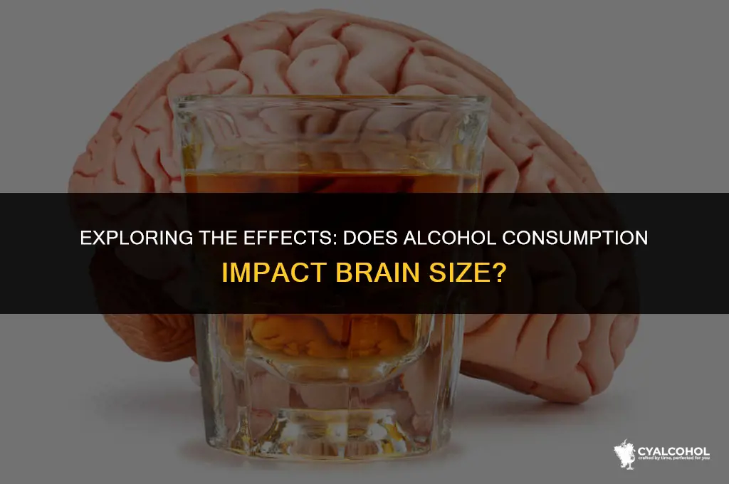 does alcohol swell the brain