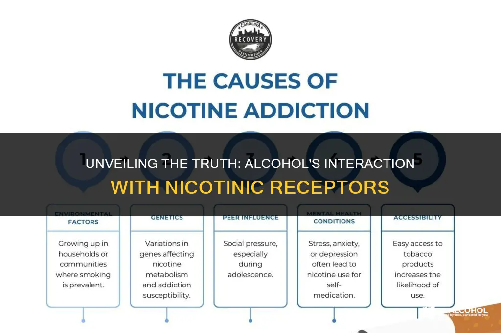 does alcohol target nicotinic receptors