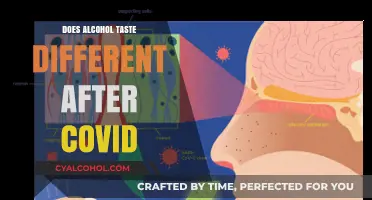 Post-COVID Palate: How Alcohol's Flavor Changes After Recovery