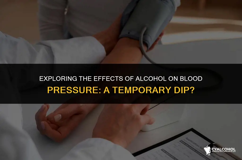 does alcohol tempirarily lower bp