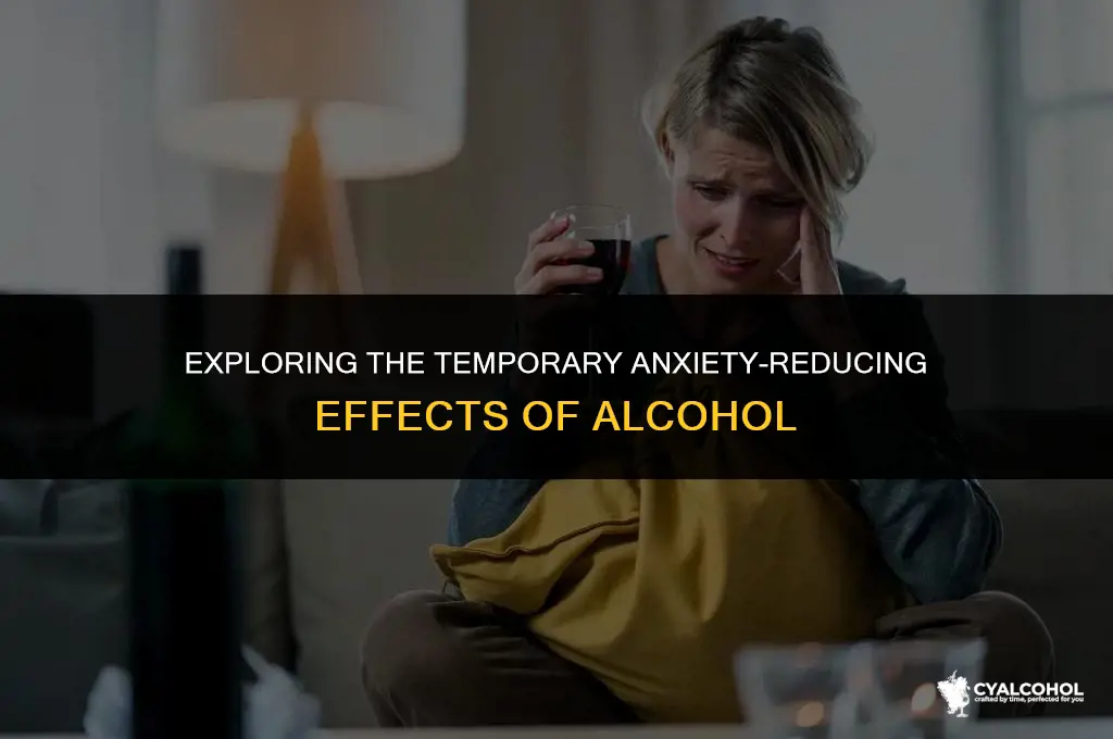 does alcohol temporarily reduce anxiety