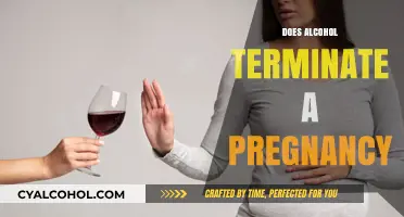 Exploring the Risks: Alcohol Consumption During Pregnancy