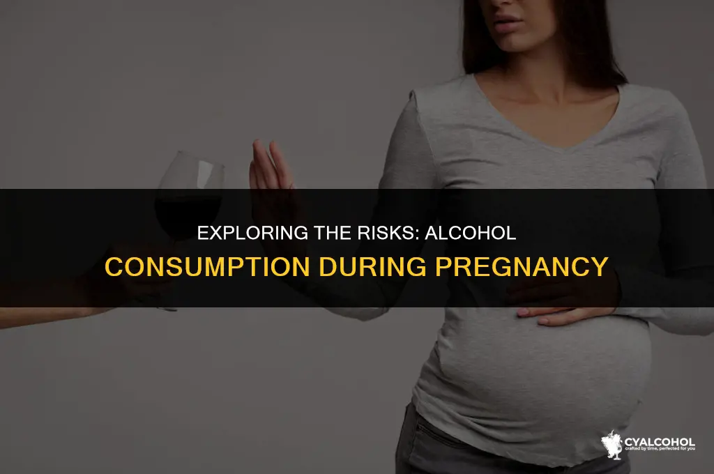 does alcohol terminate a pregnancy