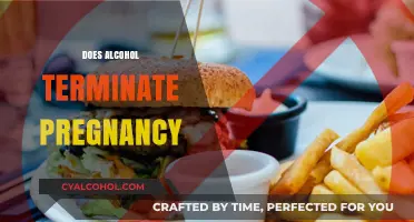 Alcohol and Pregnancy: Debunking Myths About Termination Risks