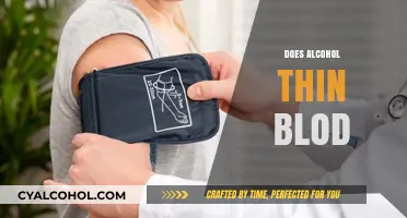 Does Alcohol Thin Your Blood? Uncovering the Facts and Myths