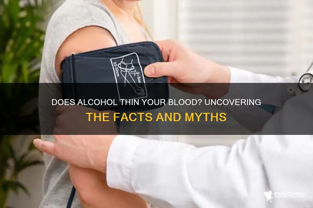does alcohol thin blod