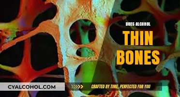 Alcohol's Impact: Does Drinking Thin Your Bones Over Time?