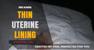 Exploring the Effects of Alcohol on Uterine Lining Thickness