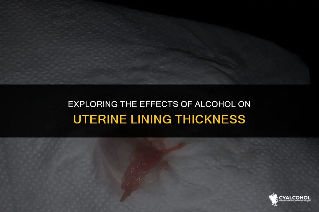 does alcohol thin uterine lining
