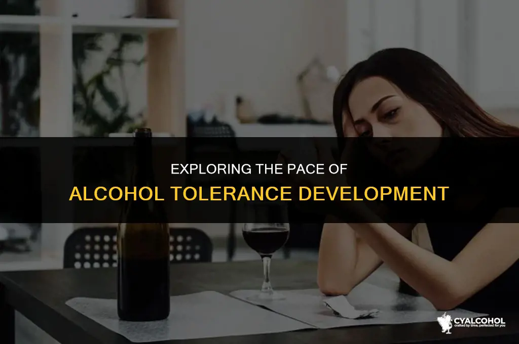 does alcohol tolerance build fast