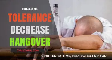 Exploring the Myth: Does Alcohol Tolerance Really Ease Hangovers?
