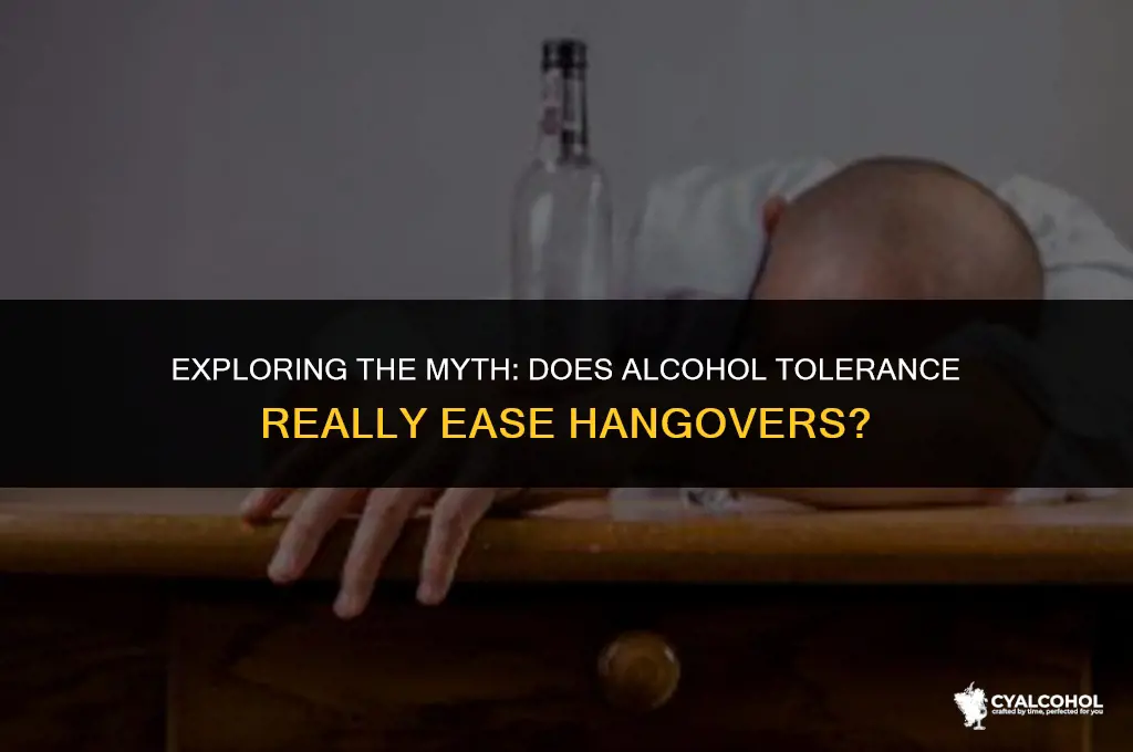 does alcohol tolerance decrease hangover