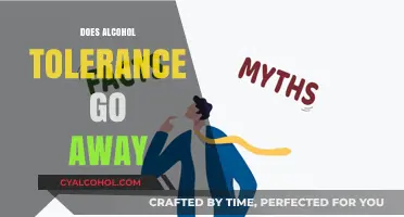 Exploring the Myths: Does Alcohol Tolerance Really Fade Over Time?