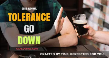 Does Alcohol Tolerance Decrease Over Time? Exploring the Factors and Effects