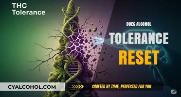 Can Alcohol Tolerance Reset? Understanding the Science Behind It