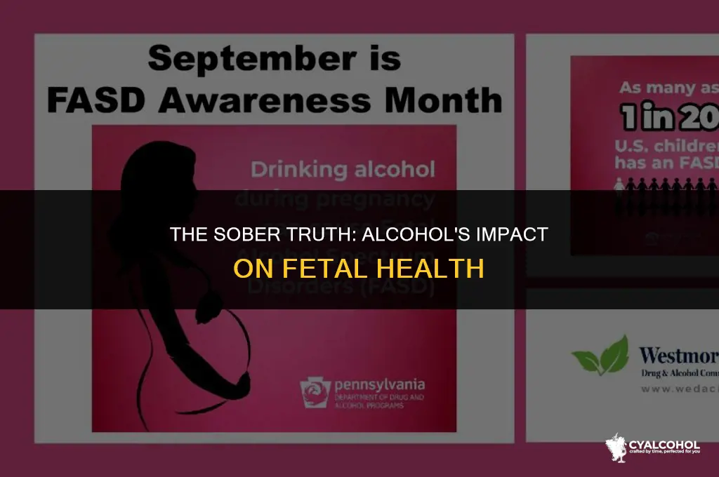 does alcohol toxic for fetuse