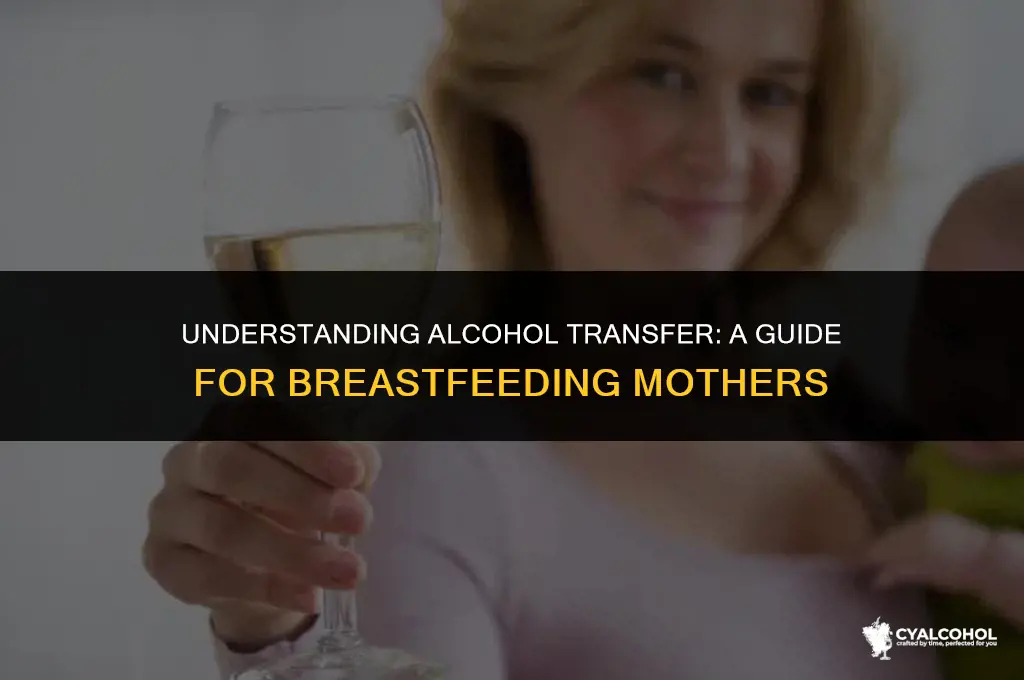 does alcohol transfer into breastmilk