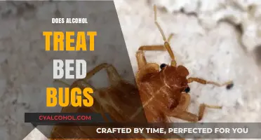 Debunking Myths: Alcohol's Role in Bed Bug Treatment Explained
