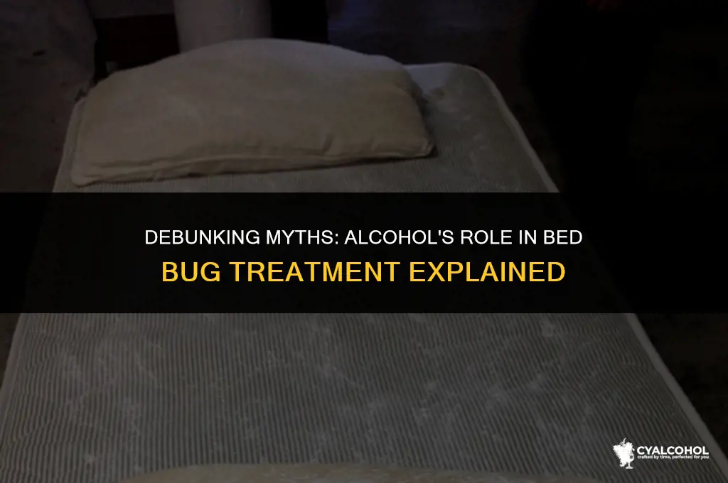 does alcohol treat bed bugs
