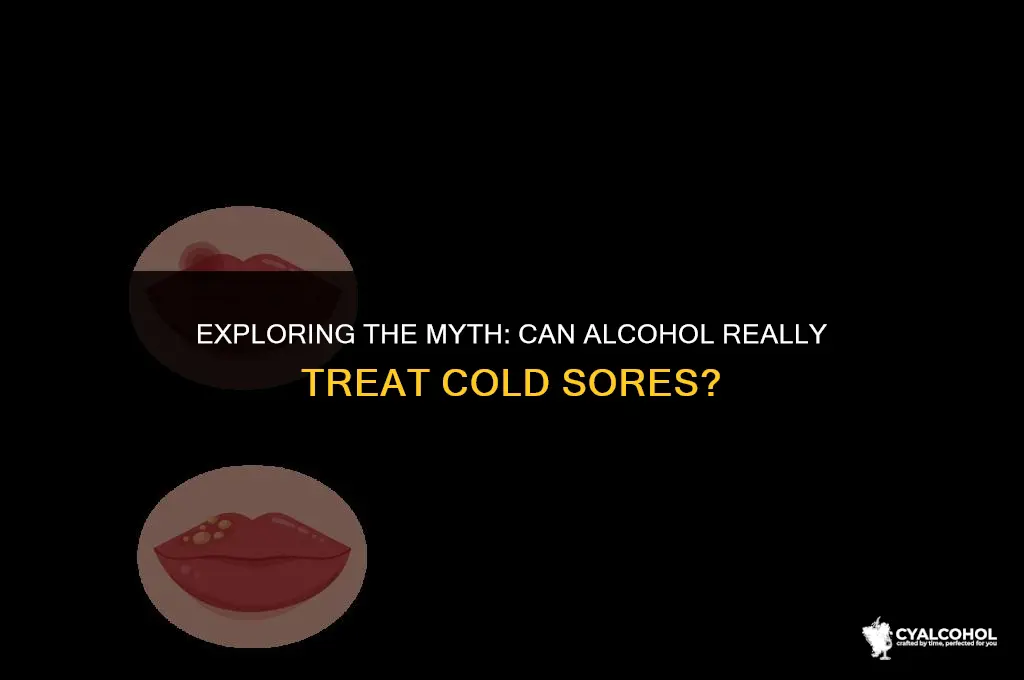 does alcohol treat cold sores