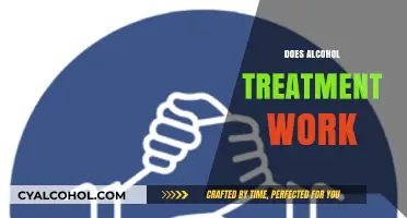 Does Alcohol Treatment Work? Exploring Effectiveness and Recovery Success