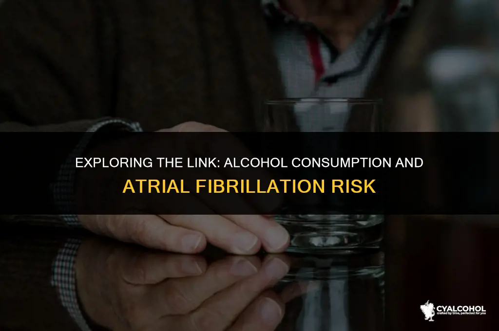 does alcohol trigger atrial fibrillation