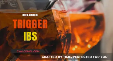 Alcohol and IBS: Unraveling the Connection and Potential Triggers