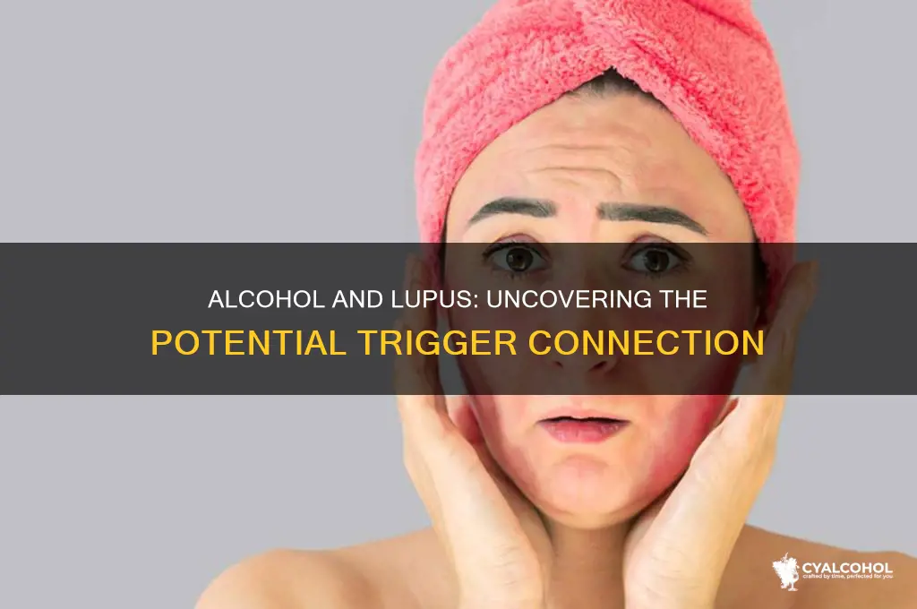 does alcohol trigger lupus