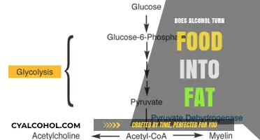 Alcohol and Fat Storage: How Drinks Impact Food Metabolism