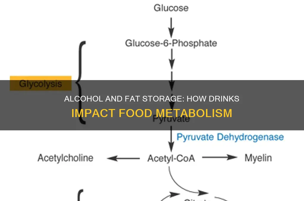does alcohol turn food into fat