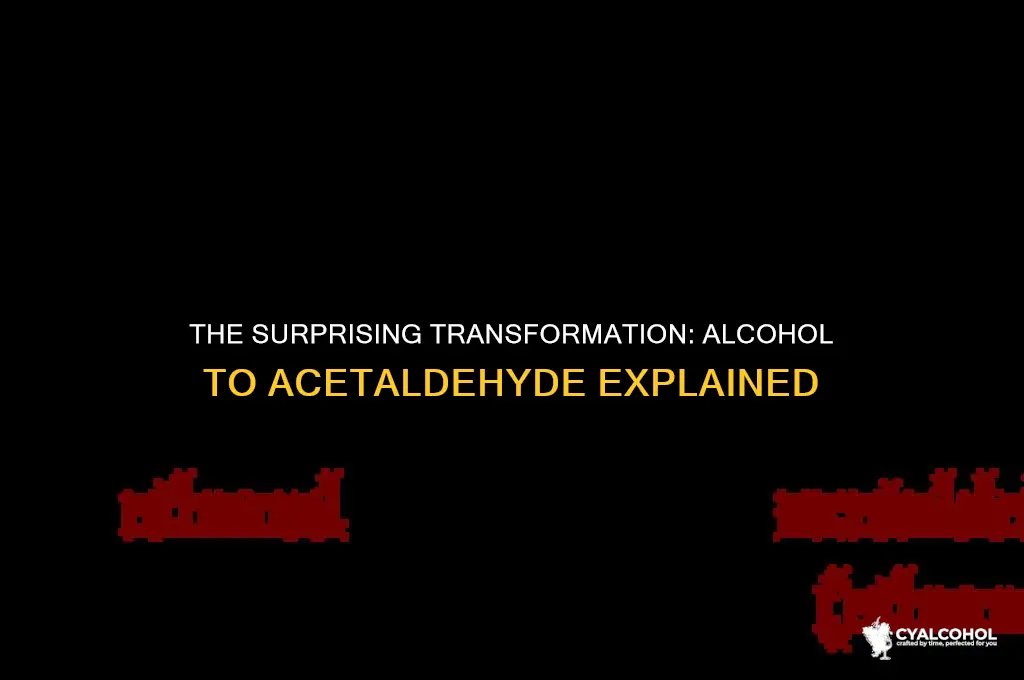 does alcohol turn into acetaldehyde