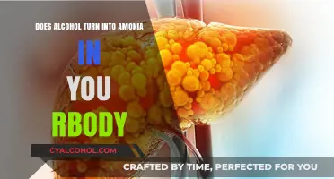 Does Alcohol Metabolize into Ammonia in Your Body? Facts Explained