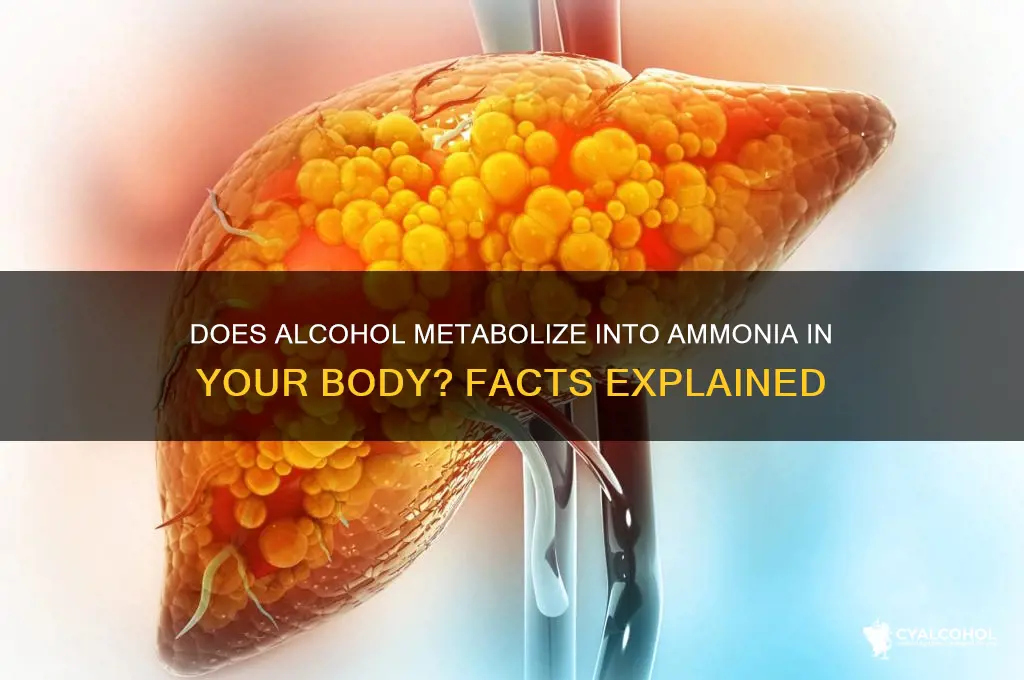 does alcohol turn into amonia in you rbody