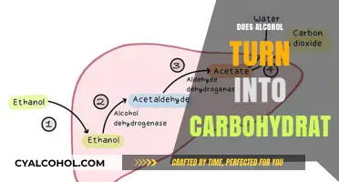 Alcohol's Metabolic Fate: Does It Transform into Carbohydrates?