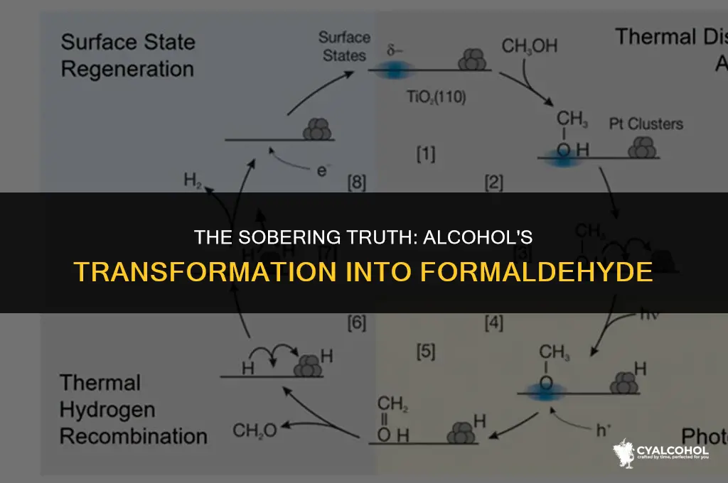 does alcohol turn into formaldehyde