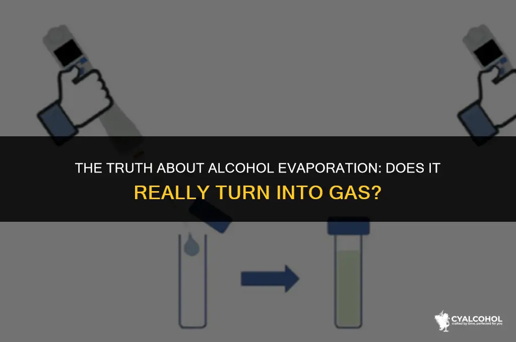 does alcohol turn into gas