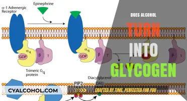 Exploring the Metabolic Fate of Alcohol: Glycogen Conversion Uncovered