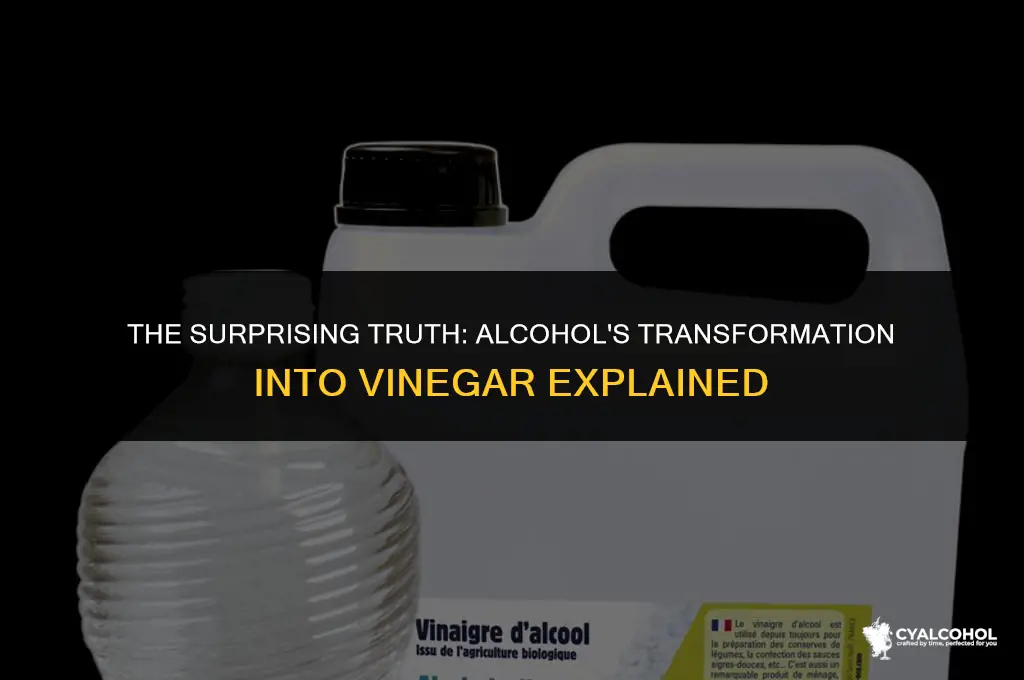 does alcohol turn into vinegar