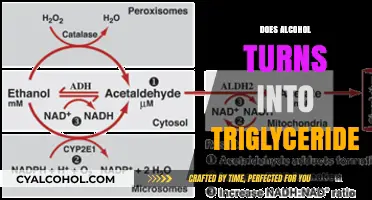 Unveiling the Truth: Alcohol's Transformation into Triglycerides