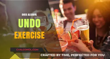 Alcohol vs. Fitness: How Drinking Undoes Your Exercise Efforts