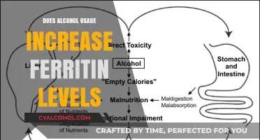 Alcohol and Ferritin: Exploring the Link Between Drinking and Iron Storage