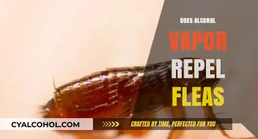 Exploring the Myth: Does Alcohol Vapor Really Repel Fleas?
