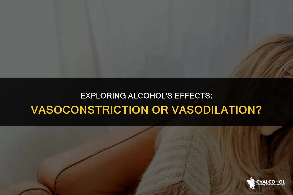 does alcohol vasoconstriction or vasodilation