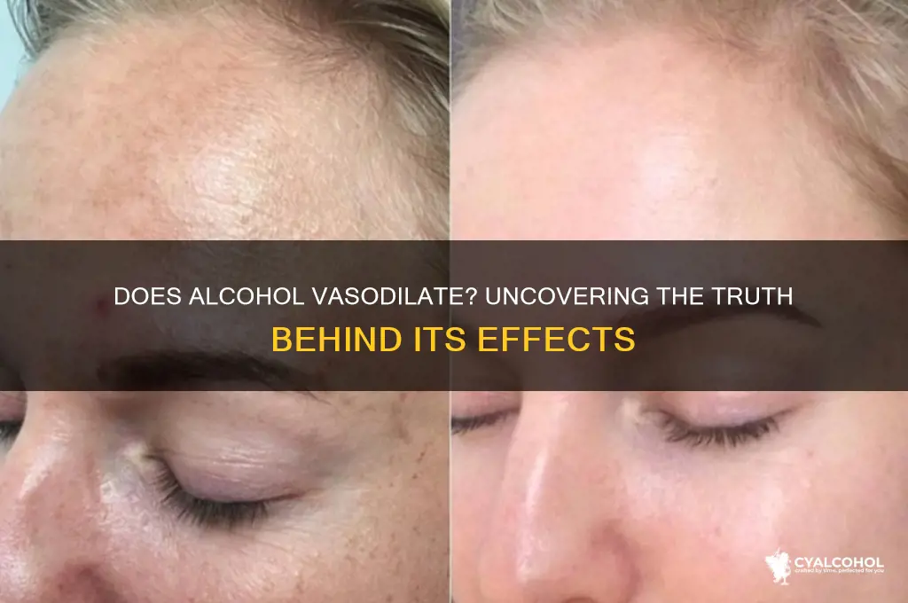 does alcohol vasodilate