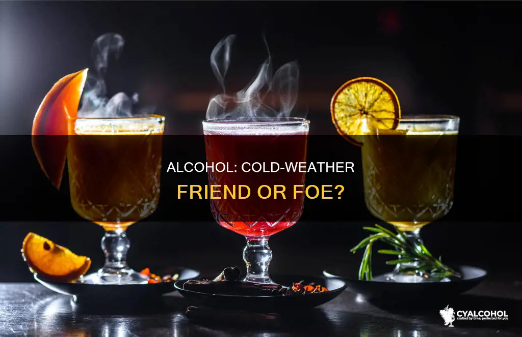 does alcohol warm you up on a cold day